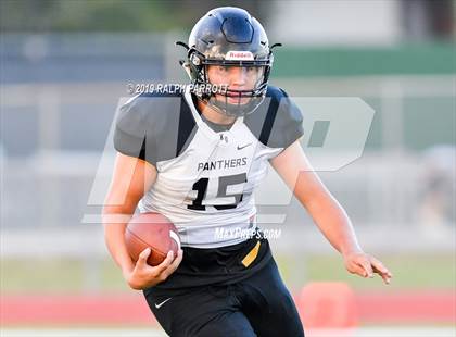Thumbnail 1 in Klein Oak vs Klein Forest  photogallery.
