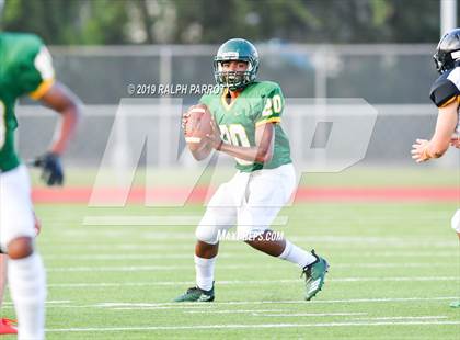 Thumbnail 1 in Klein Oak vs Klein Forest  photogallery.