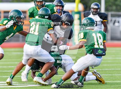 Thumbnail 3 in Klein Oak vs Klein Forest  photogallery.