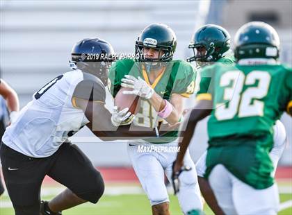 Thumbnail 2 in Klein Oak vs Klein Forest  photogallery.
