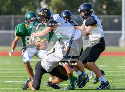 Thumbnail 1 in Klein Oak vs Klein Forest  photogallery.