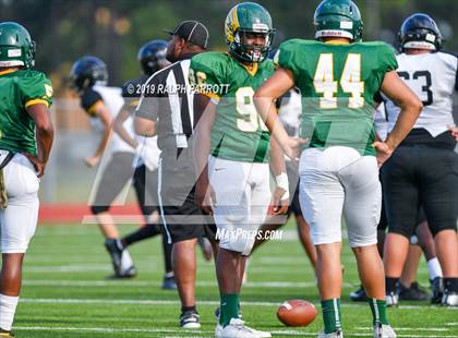 Thumbnail 2 in Klein Oak vs Klein Forest  photogallery.