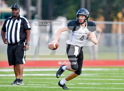 Thumbnail 1 in Klein Oak vs Klein Forest  photogallery.