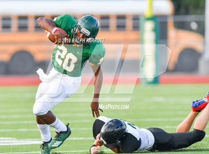 Thumbnail 1 in Klein Oak vs Klein Forest  photogallery.