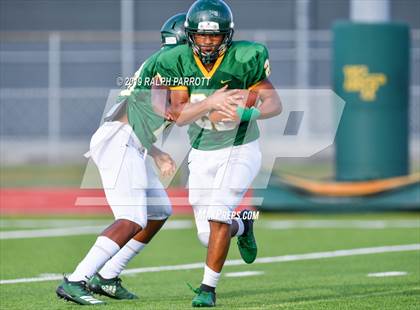 Thumbnail 2 in Klein Oak vs Klein Forest  photogallery.