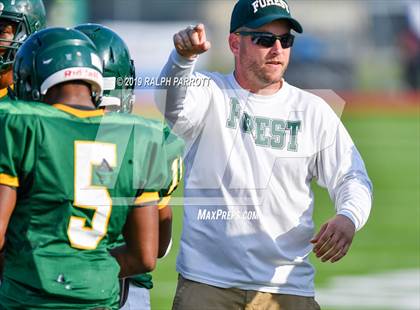 Thumbnail 1 in Klein Oak vs Klein Forest  photogallery.