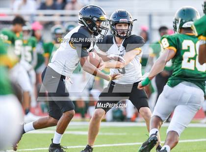 Thumbnail 1 in Klein Oak vs Klein Forest  photogallery.