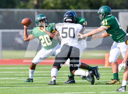 Thumbnail 1 in Klein Oak vs Klein Forest  photogallery.