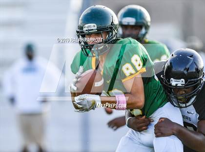 Thumbnail 1 in Klein Oak vs Klein Forest  photogallery.