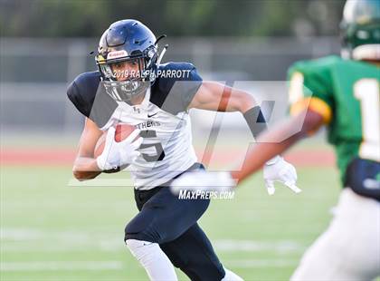 Thumbnail 1 in Klein Oak vs Klein Forest  photogallery.