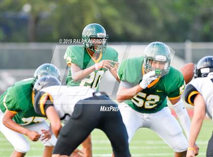Thumbnail 1 in Klein Oak vs Klein Forest  photogallery.