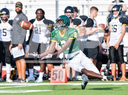 Thumbnail 2 in Klein Oak vs Klein Forest  photogallery.