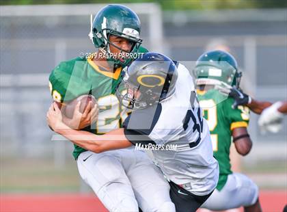Thumbnail 2 in Klein Oak vs Klein Forest  photogallery.