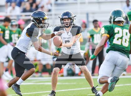 Thumbnail 2 in Klein Oak vs Klein Forest  photogallery.