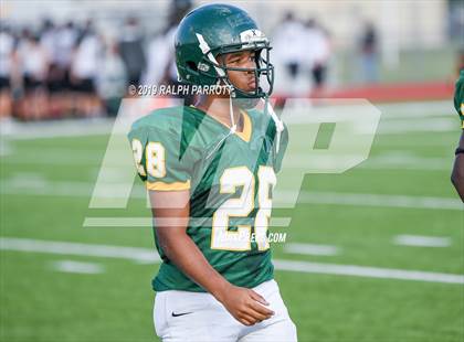 Thumbnail 2 in Klein Oak vs Klein Forest  photogallery.