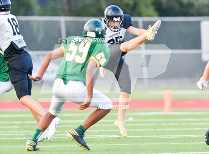 Thumbnail 1 in Klein Oak vs Klein Forest  photogallery.