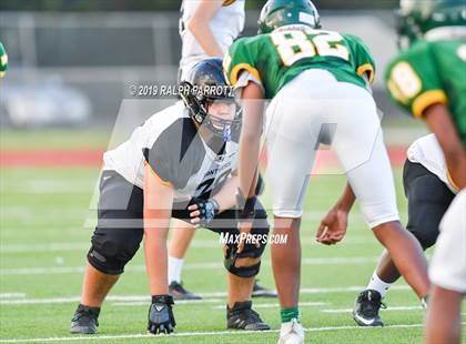 Thumbnail 2 in Klein Oak vs Klein Forest  photogallery.