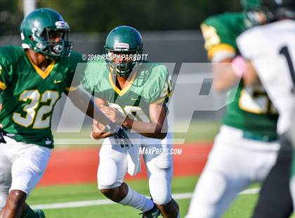 Thumbnail 1 in Klein Oak vs Klein Forest  photogallery.