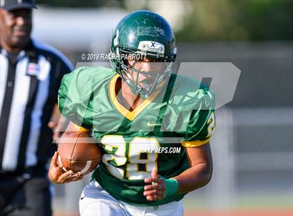 Thumbnail 3 in Klein Oak vs Klein Forest  photogallery.