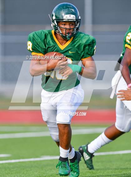 Thumbnail 2 in Klein Oak vs Klein Forest  photogallery.