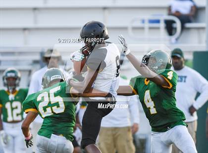 Thumbnail 1 in Klein Oak vs Klein Forest  photogallery.