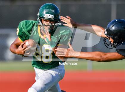 Thumbnail 2 in Klein Oak vs Klein Forest  photogallery.