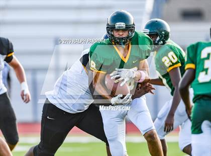 Thumbnail 3 in Klein Oak vs Klein Forest  photogallery.