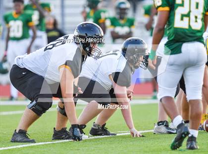 Thumbnail 2 in Klein Oak vs Klein Forest  photogallery.
