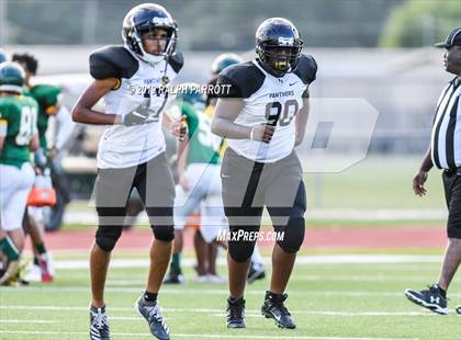 Thumbnail 1 in Klein Oak vs Klein Forest  photogallery.