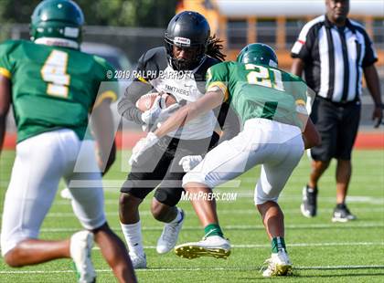 Thumbnail 1 in Klein Oak vs Klein Forest  photogallery.