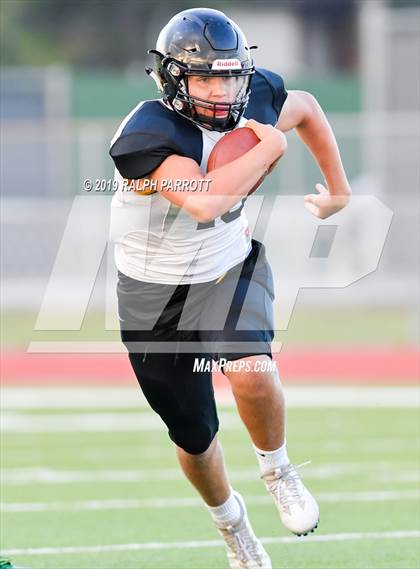 Thumbnail 2 in Klein Oak vs Klein Forest  photogallery.