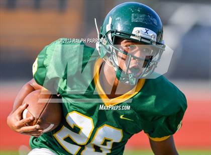 Thumbnail 2 in Klein Oak vs Klein Forest  photogallery.