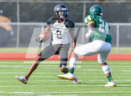 Thumbnail 1 in Klein Oak vs Klein Forest  photogallery.