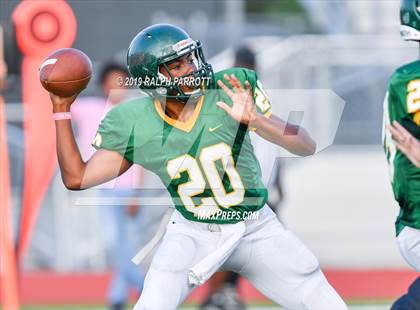 Thumbnail 3 in Klein Oak vs Klein Forest  photogallery.