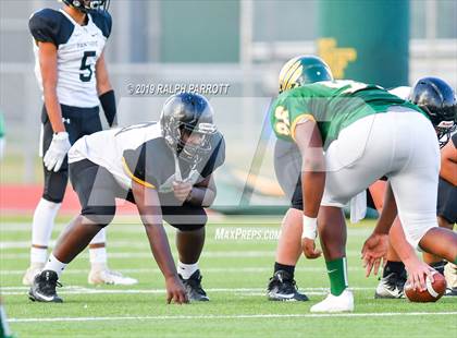 Thumbnail 2 in Klein Oak vs Klein Forest  photogallery.