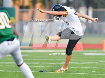 Thumbnail 1 in Klein Oak vs Klein Forest  photogallery.