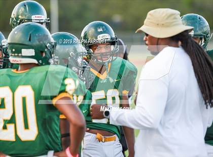 Thumbnail 2 in Klein Oak vs Klein Forest  photogallery.