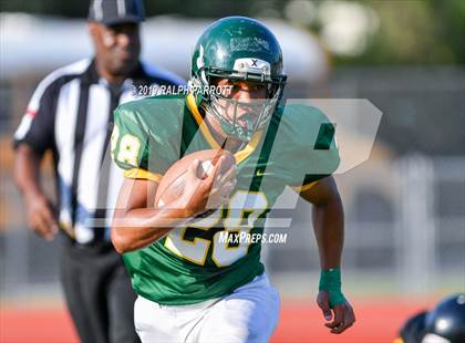 Thumbnail 2 in Klein Oak vs Klein Forest  photogallery.