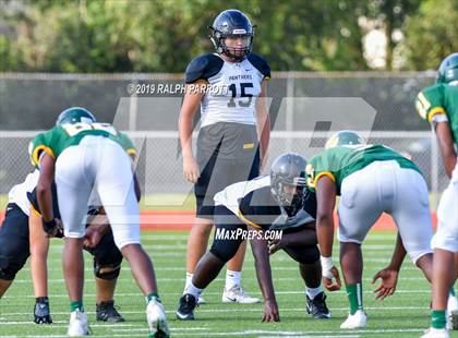 Thumbnail 1 in Klein Oak vs Klein Forest  photogallery.