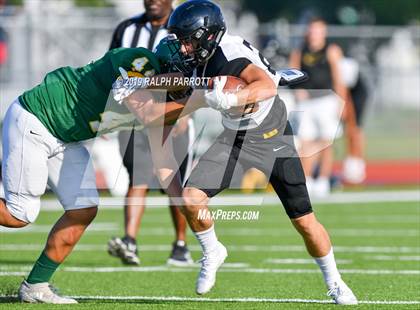 Thumbnail 1 in Klein Oak vs Klein Forest  photogallery.