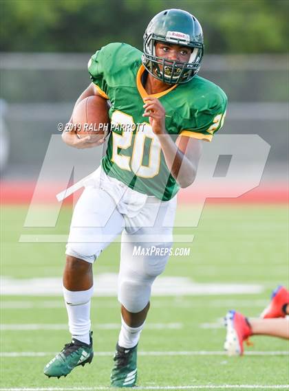 Thumbnail 1 in Klein Oak vs Klein Forest  photogallery.