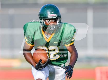 Thumbnail 1 in Klein Oak vs Klein Forest  photogallery.