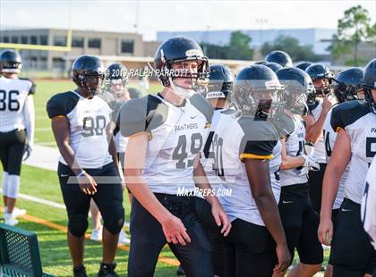 Thumbnail 2 in Klein Oak vs Klein Forest  photogallery.