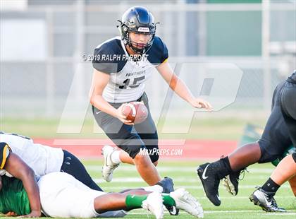 Thumbnail 2 in Klein Oak vs Klein Forest  photogallery.