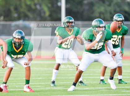 Thumbnail 3 in Klein Oak vs Klein Forest  photogallery.