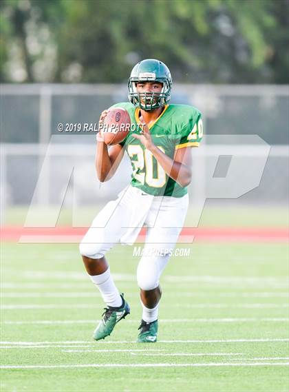Thumbnail 2 in Klein Oak vs Klein Forest  photogallery.