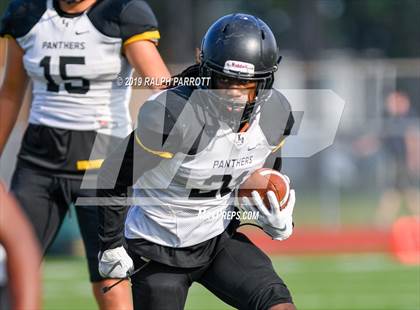 Thumbnail 3 in Klein Oak vs Klein Forest  photogallery.
