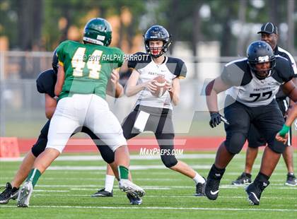 Thumbnail 2 in Klein Oak vs Klein Forest  photogallery.