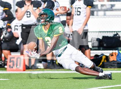 Thumbnail 3 in Klein Oak vs Klein Forest  photogallery.
