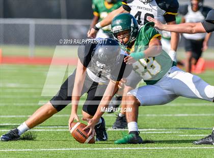 Thumbnail 1 in Klein Oak vs Klein Forest  photogallery.